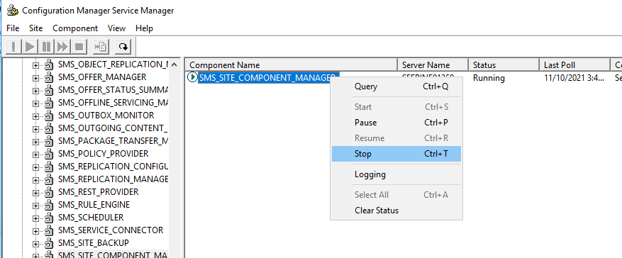 supprimer le rôle Component Server : Configuration Manager Service Manager